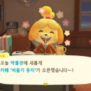 파니투어