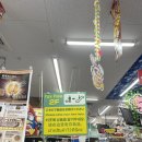 메이크홀릭 | 후쿠오카 하카타 돈키호테 추천템 드럭스토어 면세 할인쿠폰 재사용 방법