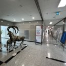 오산시립미술관 이미지