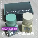 청수8로 | 속건조 수분크림 추천 청수연 부평초크림 데이 앤 나이트 케어 후기