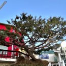 옥정호풍차 이미지