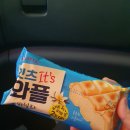 난타5000피자동신대점