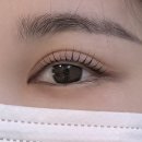 보리네 | 자양동속눈썹 고민 끝! 강직모도 또렷하게 살아난 보리네눈썹가게 후기