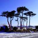 호수공원, 중앙공원 이미지