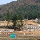 읍내로(대로3-5) 이미지