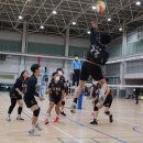 like volleyball 배구동호회 (재업) 이미지