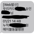 에이블 동물병원 이미지