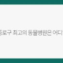 서울 베스트 동물병원 이미지