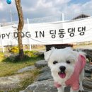 딩동댕댕 이미지