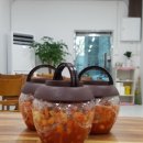 칼국시와갱시기 네이버블로그