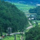 남도1번지 이미지