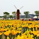 마동동사무소 이미지