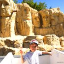 (주)피디엑스 Daum카페