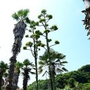 거제해금강농업협동조합 이미지