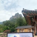 연종보감 이미지