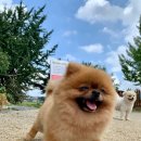 금은농장 이미지