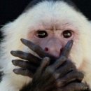 바다PC | 연남동 숙성회 맛집 바다약방｜쫀득한 모둠회 후기