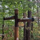 버스정류장(보훈병원) 이미지