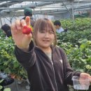 민락최강태권도 이미지