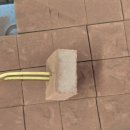 (개인)김보람 이미지