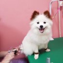 남양시장로45번길 이미지