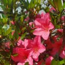 석암농장 이미지