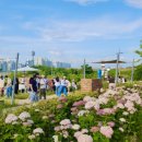 다온숲어린이집 이미지