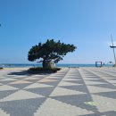 강원도립대학 버스정류장 이미지