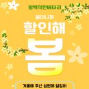 🚛 [평택대형차배터리] 만(MAN) 트레일러 쏠라이트 70018 출장 교체 및 24V 발전기 전압 점검 후기!