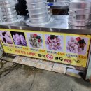 바로손만두 이미지