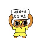 5월의 일상 &amp; 광주fc 직관일지