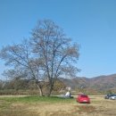 선어대생태공원 이미지