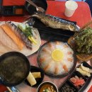 문정공원 | 장지역 횟집 양천포 문정본점 파크하비오에서 즐기는 딱새우 &amp; 모듬회 양set 솔직 후기