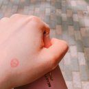 소쿠리살롱