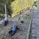 마리산초등학교 이미지