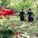 경성화원 이미지