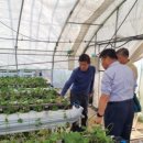 봉암 배수장 이미지