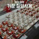 [기장 인기많은 대형 카페] 기장 칠암사계 딸기디저트 소금빵 나오는시간
