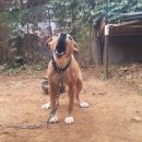 재분농장 이미지