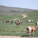 이상기목장 이미지