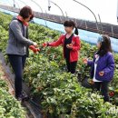 이재형농장 이미지