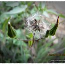 구례농장 이미지