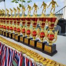 용인대석사비호태권도장 이미지