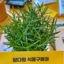 다원농장 이미지