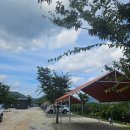 지후농장 | 청도 은광디미캠핑장 별마당06 아이랑 후기