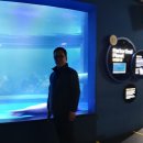 해양빌딩 이미지