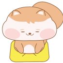 파인브릿지