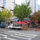 삼성아파트_동 이미지