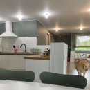 댕큐양양 이미지