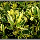 청화농장 이미지